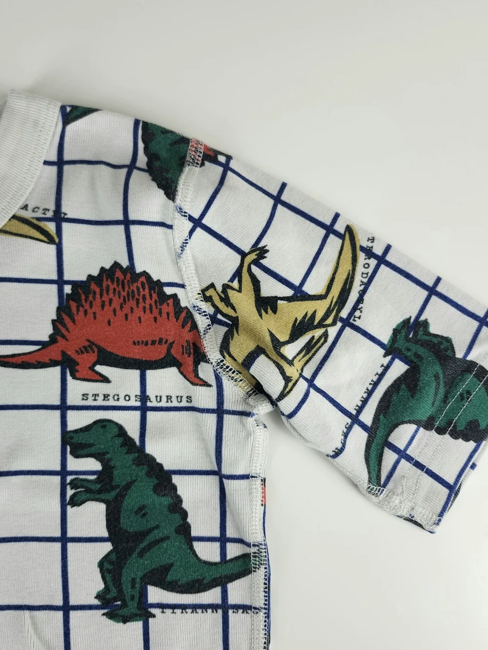 Hanna Andersson Pajama Set with Red Green Blue Yellow Dinosaurs